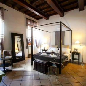 Magenta Luxury Purificazione